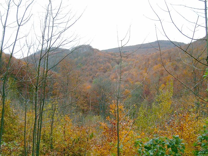 20101023 112.jpg
